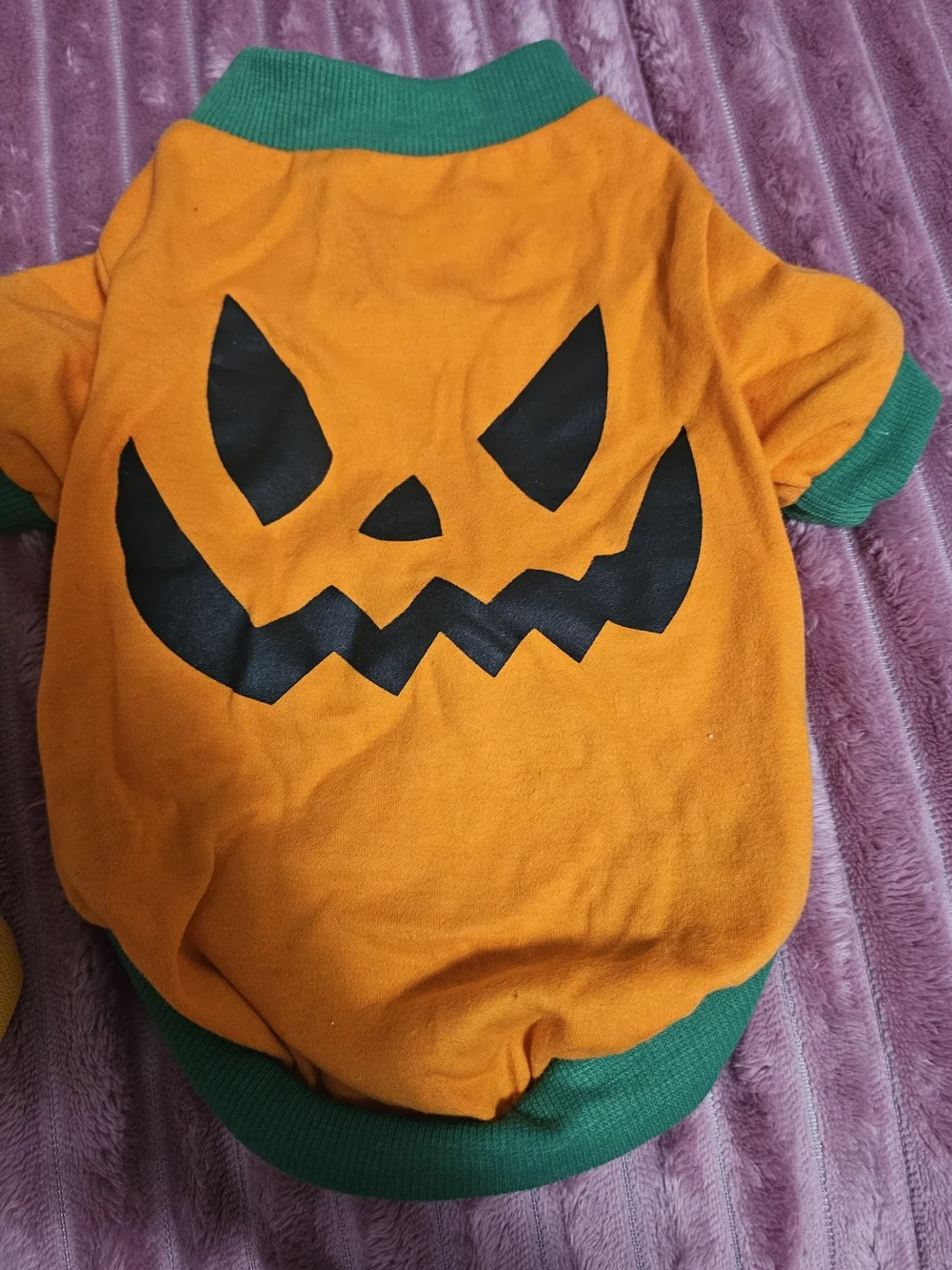 Orange Halloween Pumpkin & 'Looking For Trouble' Dog Tops
